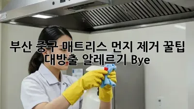 부산 중구 매트리스 먼지 제거 ✨꿀팁 대방출! 알레르기 Bye~