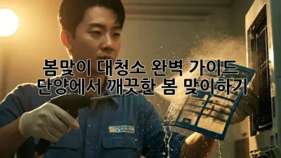 봄맞이 대청소 완벽 가이드: 단양에서 깨끗한 봄 맞이하기