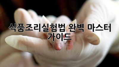 식품조리실험법 완벽 마스터 가이드
